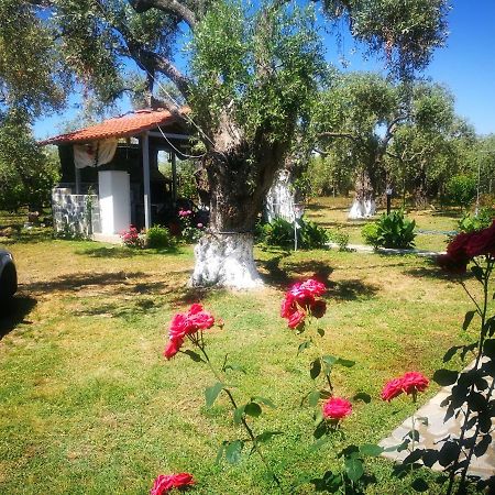 Cristi Apartments Skala Rachoni  المظهر الخارجي الصورة