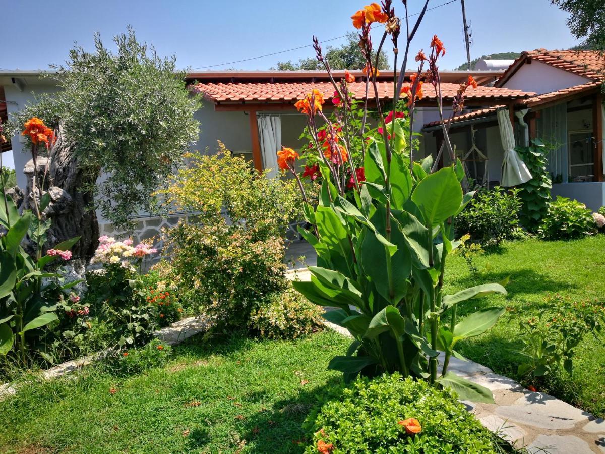 Cristi Apartments Skala Rachoni  المظهر الخارجي الصورة