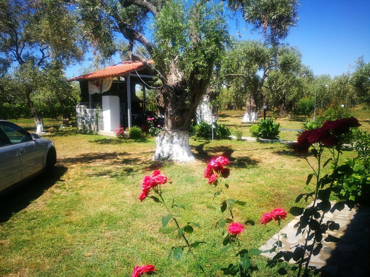 Cristi Apartments Skala Rachoni  المظهر الخارجي الصورة