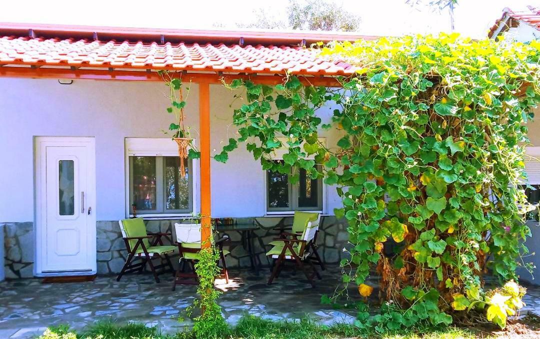Cristi Apartments Skala Rachoni  المظهر الخارجي الصورة